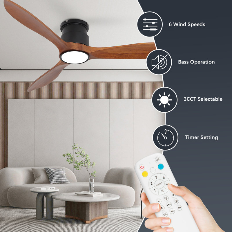 Ceiling Fans 99714CF3F1404560B38B24D4DB9FE151