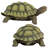 Gilbert, the Box Turtle Statue