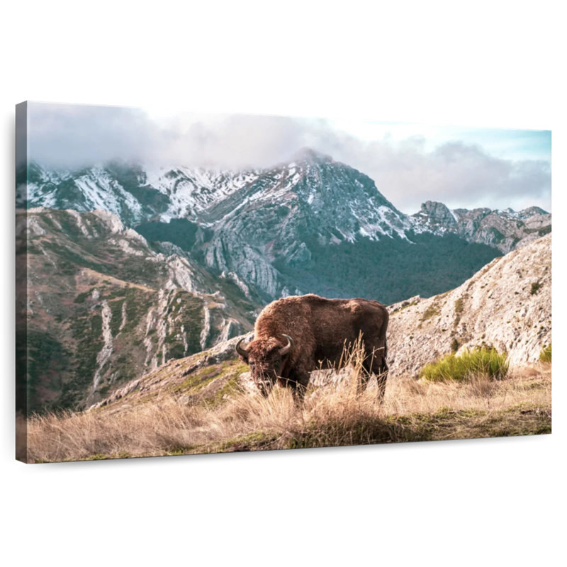 Brampt Bison Lost In The Mountains, 32" H x 48" W