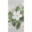 Serviette de plage à séchage rapide en microfibre à motif floral et feuilles blanches, 36 x 72 po