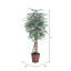 Ficus panaché artificiel en pot