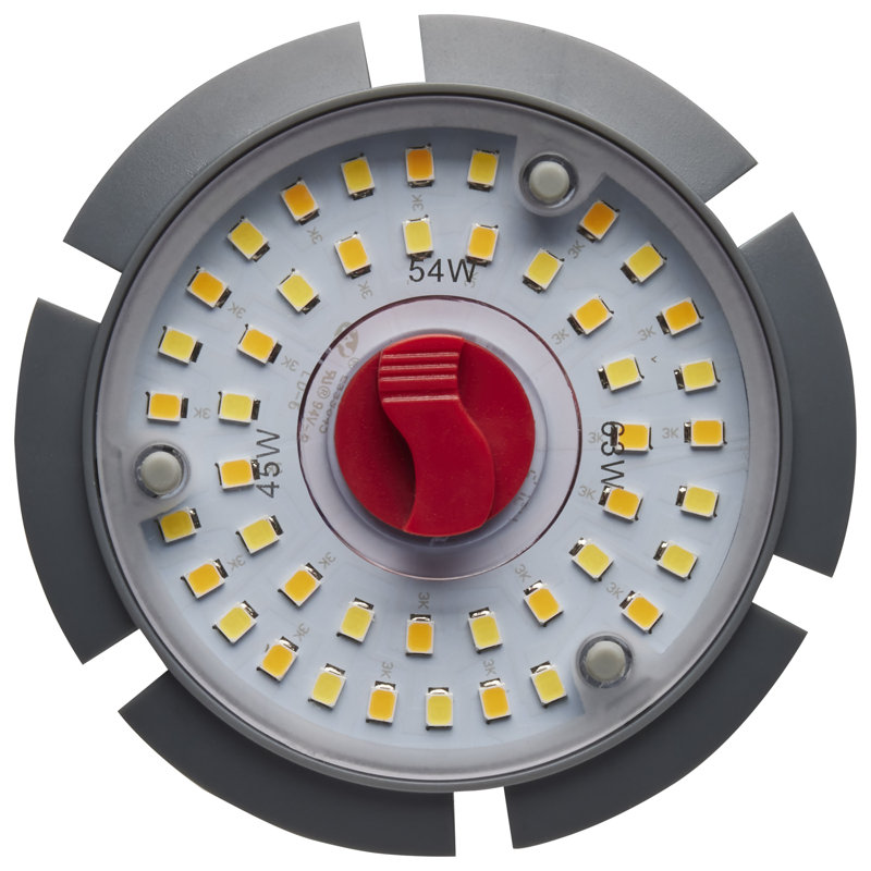 54 Watt LED Bulb, 63 W