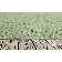 Hissom Flatweave Indoor / Outdoor Area Rug
