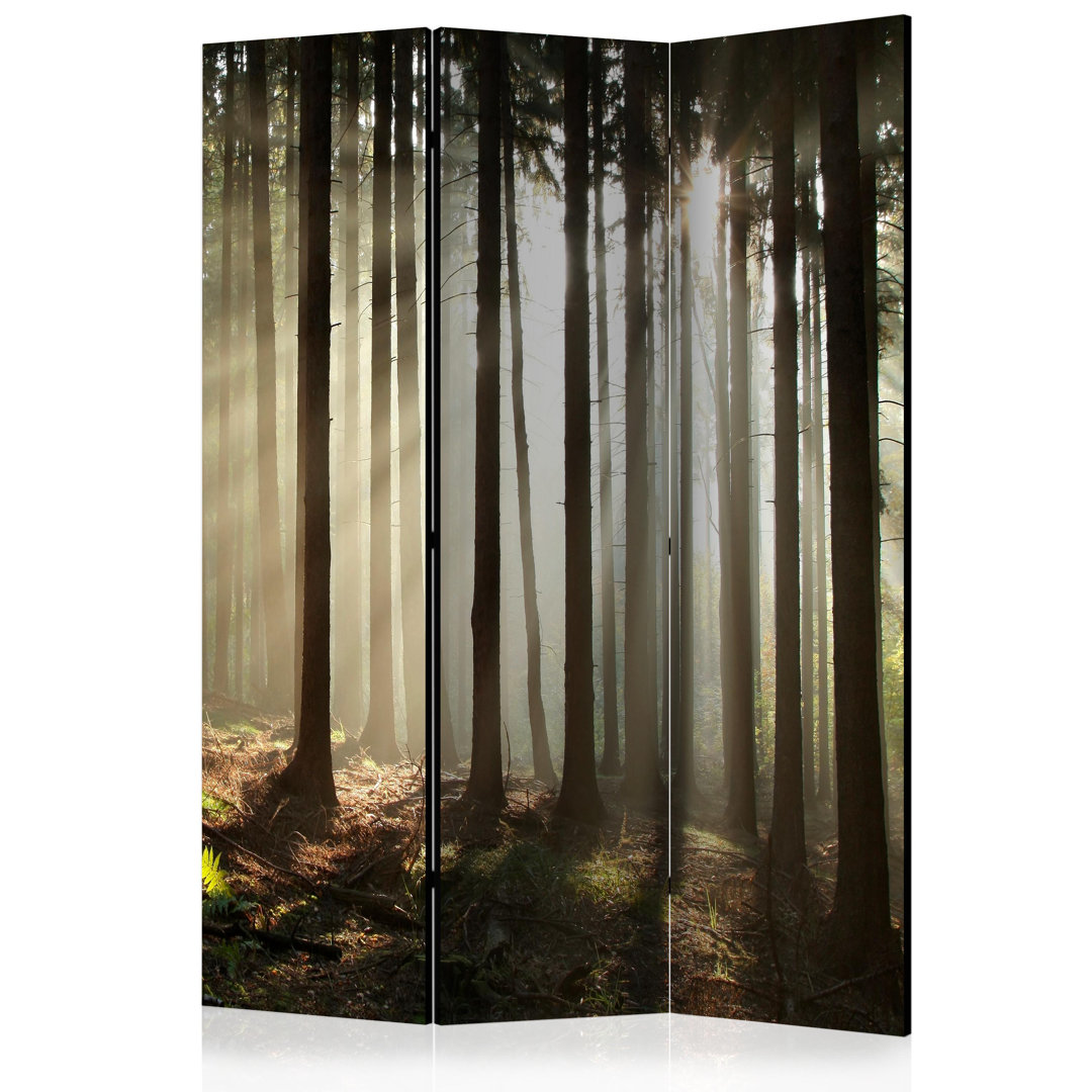 Paravent Coniferous Forest mit 3 Paneelen