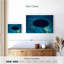 Grand trou bleu Kavia Belize-107859817