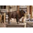The American Buffalo Statue