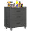 Armoire de rangement en métal robuste avec roulettes - Armoire à outils à 3 tiroirs pour solutions de rangement de garage, de bureau et de maison, noir / gris