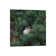 Little Bird In A Big World by Mateusz Piesiak - Floater Frame Print on Canvas