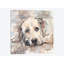 « lazy daze », reproduction sur toile-28954672-74592323-74592317