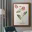 Nature imprimée Botanicals III, toile encadrée de qualité supérieure - prête à être accrochée-178641793