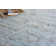 Oriental Area Rug in Blue