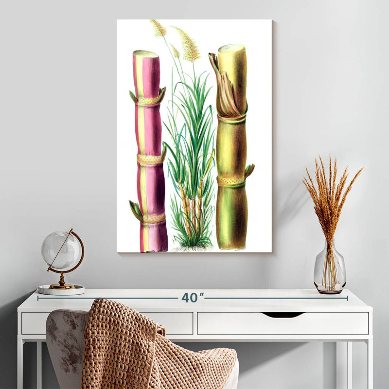 Harnek Sugarcane Stalks, 30" H x 20" W
