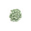 Topsy Turvy Succulent Wall Art-1124555450