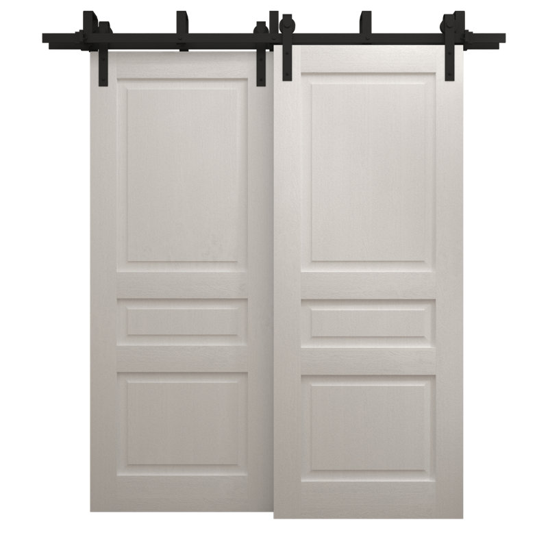 Portes coulissantes de grange coulissantes pour garde-robe | Ego 5012 | Ensemble de quincaillerie Modern Rails | Portes de garde-robe de chambre en bois massif