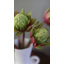 Faux Green Waratah Protea 16.5”-387507834-387507837