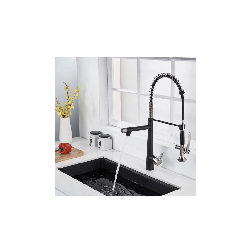 AvaMalis Pull Down Kitchen Faucet