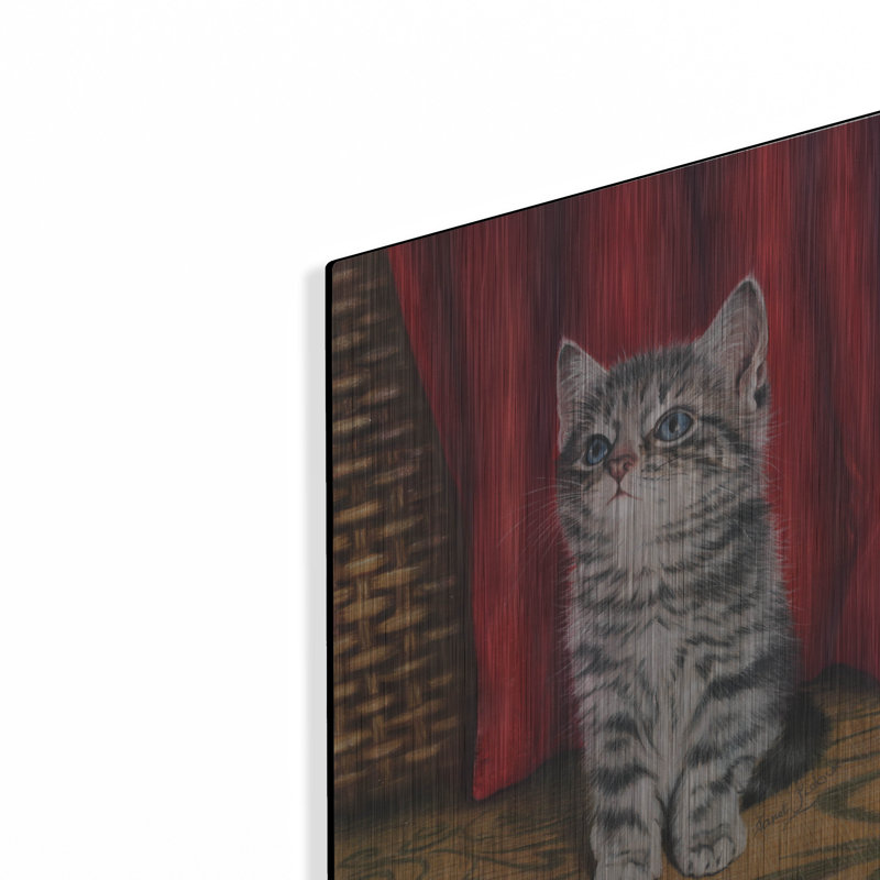 «Chaton gris et rideau rouge» par Ja «Luxury Kitten And Red Curtain» par Janet Pidoux, H 16 po x l 12 po