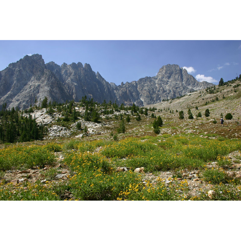 Montagnes Sawtooth, Idaho, H 8 po x l 12 po