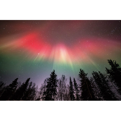 " Eagle Aurora " by Heatherecampbell
