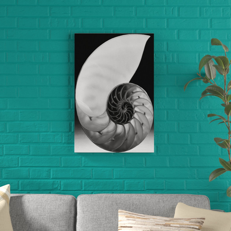 Shell I - Graphic Art Print, 76cm H x 51cm W, Wrapped Canvas