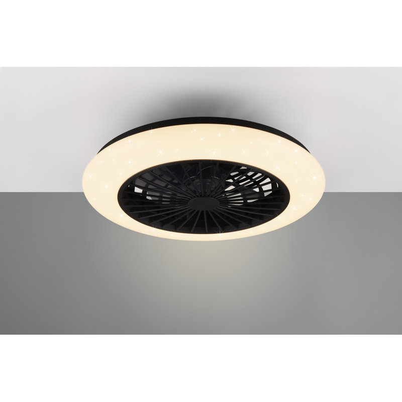 Ehrentraud 50cm Ceiling Fan with LED Lights, Black