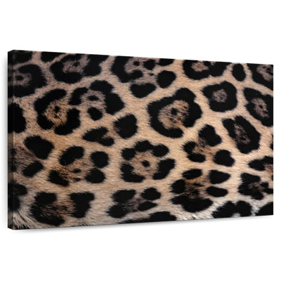 Jaguar Brampt