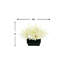 Pampas Floral Arrangement in Vase-467838662-467838661