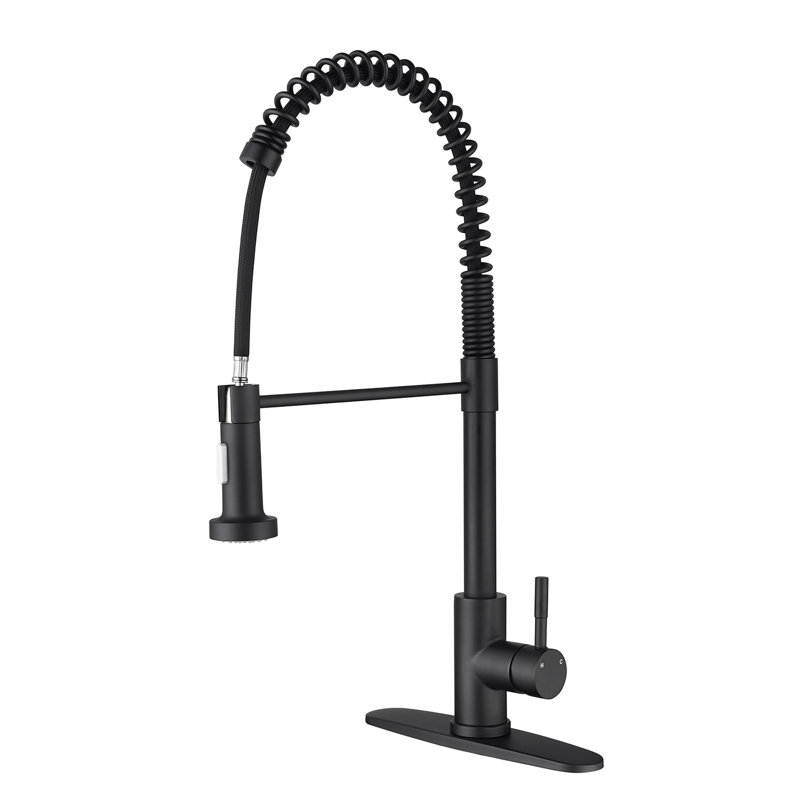 Robinet de cuisine avec douchette extractible