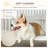 Abou Pet Crate with 1 Door