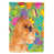 Griffon bruxellois (brun clair) sélectionné