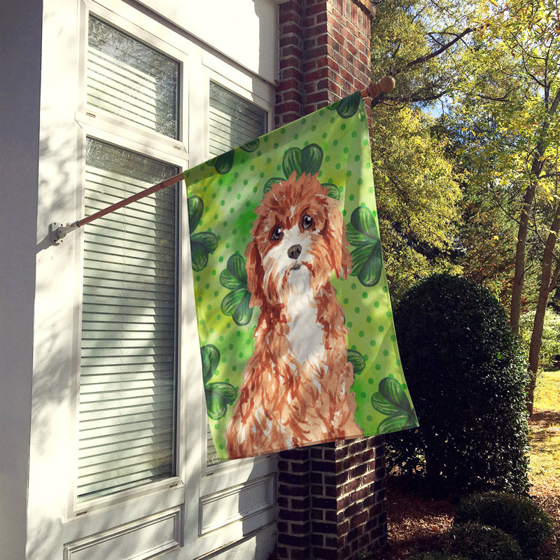 40 x 28 po en polyester à 2 côtés de la st patrick drapeau maison, Cavapoo