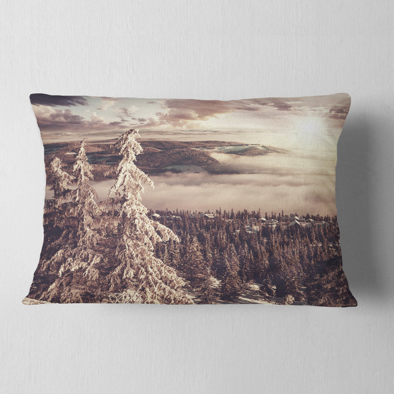 Coussin Schafer