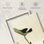 Libelle et lotus-132989745