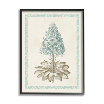 Vintage Plant Nature Study by Vision Studio - Painting on Canvas