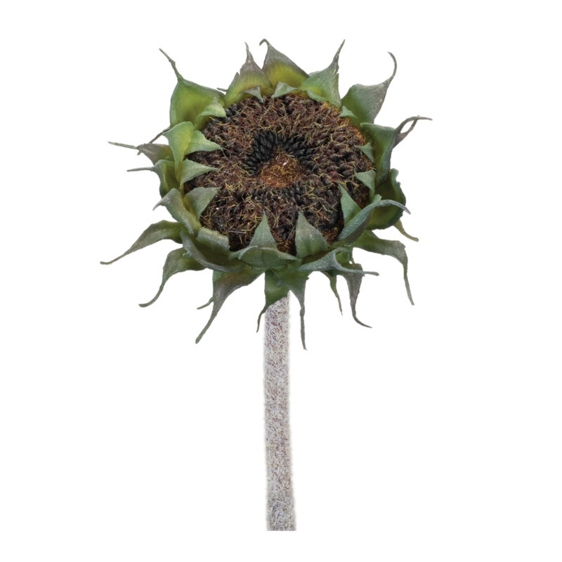 Tige de tournesol (ensemble de 6), Noir/vert