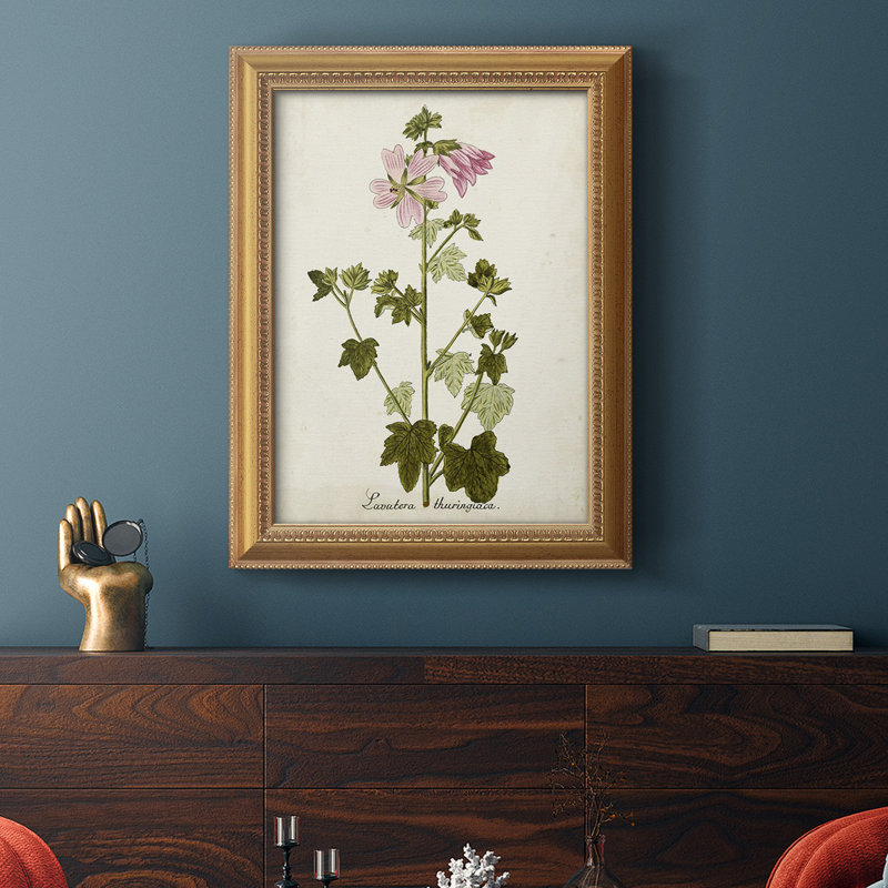 Toile encadrée de qualité supérieure antique botanique V prête à accrocher, H 20 po x l 16 po x P 2,5 po