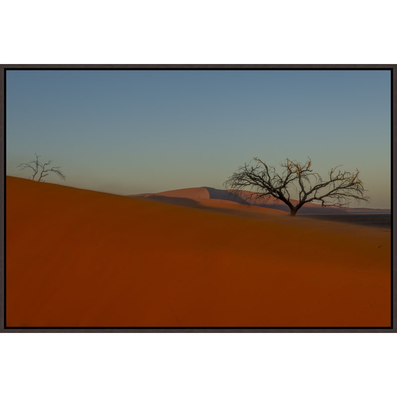 «Désert du matin de la Namibie III» par Richard Silver - peinture sur toile à cadre flottant, Pinceau gel