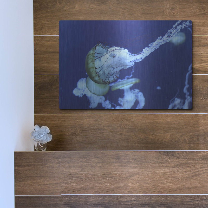 «Jelly» par PhotoINC Studio, H 12 po x l 16 po 