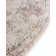 Cantey Oriental Indoor Rug