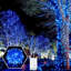 Kidman 394'' LED 100 - Bulb Pulg in String Light Halloween Decorations Lights-856783656