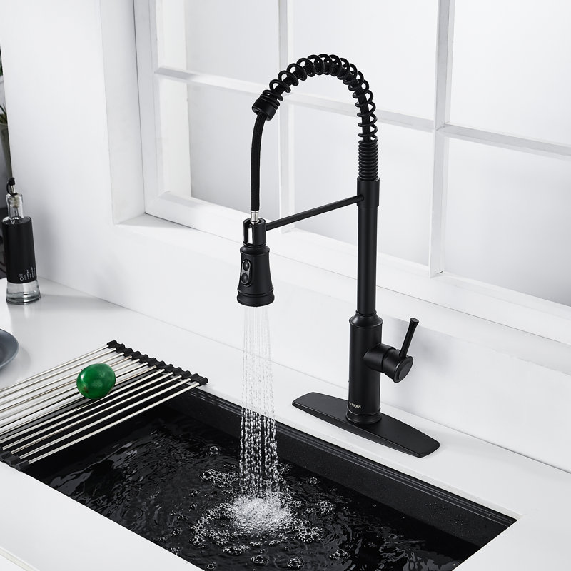 Blue Elephant Pull Down Kitchen Faucet, Black