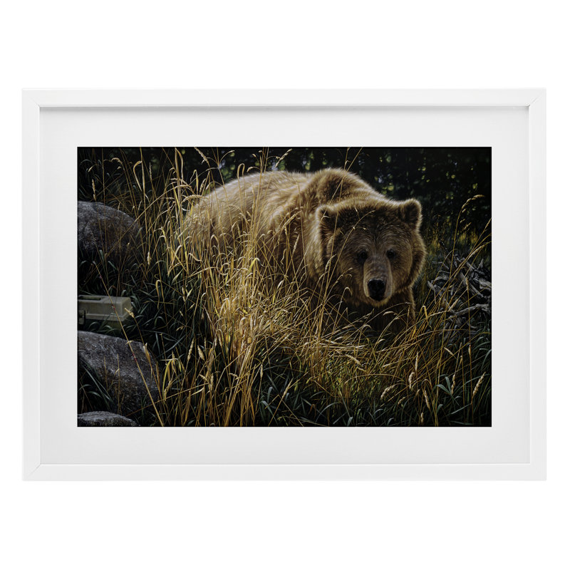«Crossing Paths Grizzly Bear», reproduction sous verre encadrée, conception par Collin Bogle, H 17 po x l 23 po