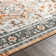 Aldusa Oriental Indoor Rug
