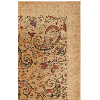 Klose Performance Paisley Rug