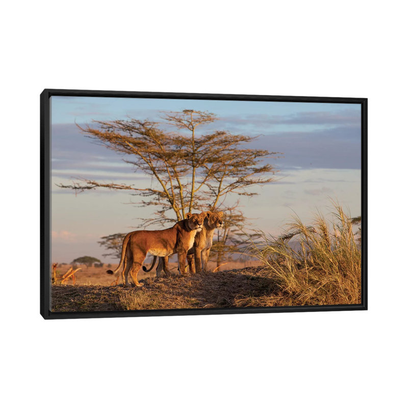 « soeurs », impression sur toile, H 18 po x l 26 po x P 1,5 po, Toile avec cadre noir, Pas de tapis