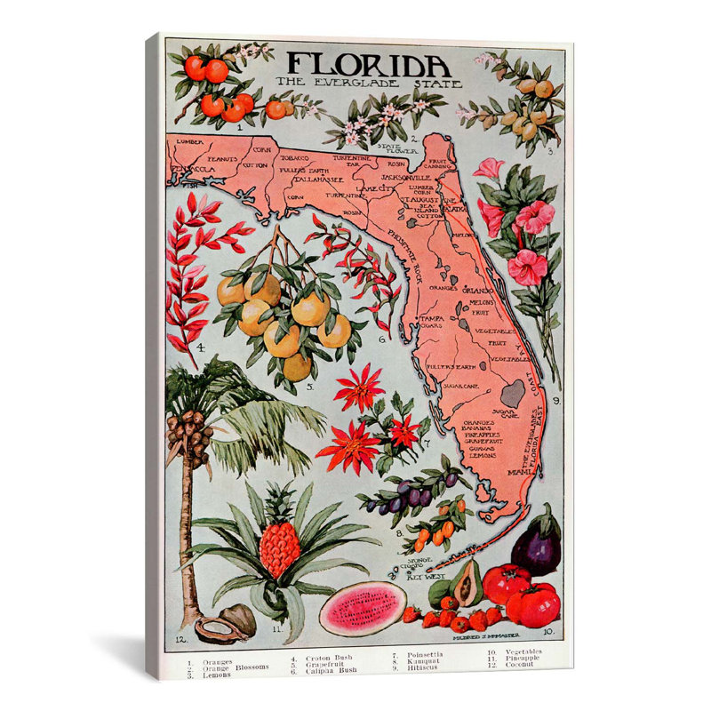 « state map of floride (ressources naturelles)-rétro affiche », impression, Toile, H 26 po x l 18 po x P 1,5 po