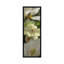 « close-up of orchidée florals iv », reproduction de photo sur toile-32790671-72117891