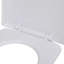 Bosarge Soft-close Toilet Seat White Bathroom Furniture Accessory-87947890