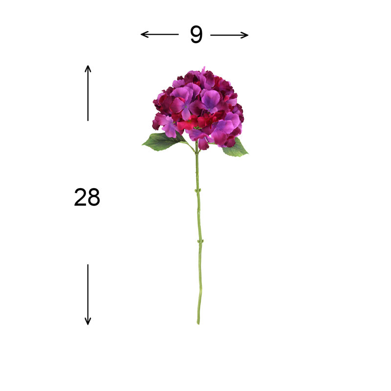 Tiges d'hortensia Anali, Magenta
