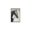 Valiant Framed Painting